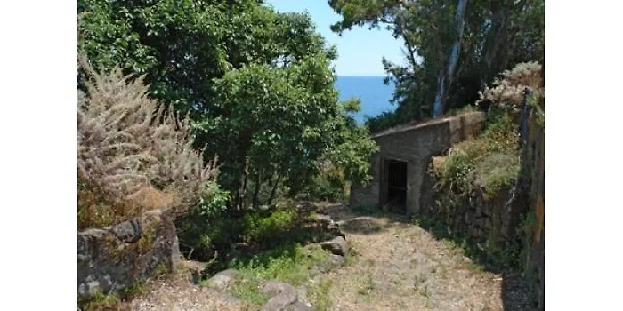 Lemon's House By The Sea Vakantiehuis