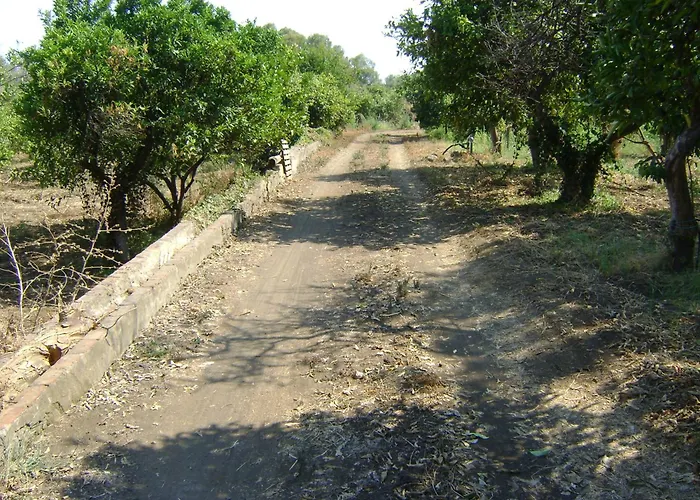 Vakantiehuis Lemon's House By The Sea *